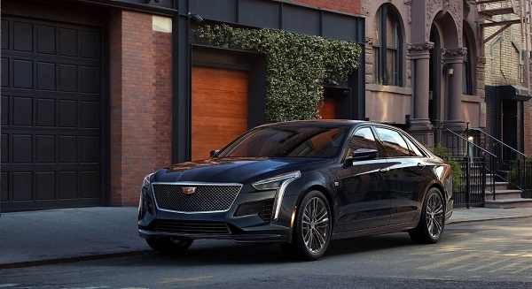 1548243497613922.jpg 2.jpg